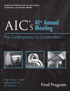 2013 Final Program Cover
