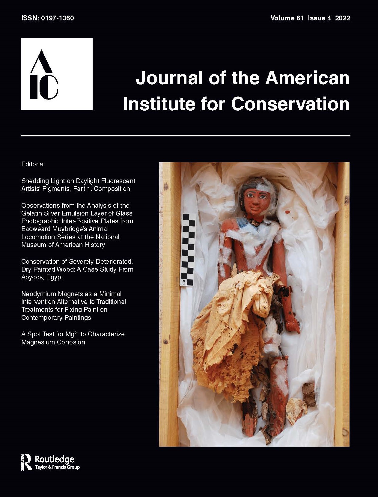 JAIC 2020 Special Issue cover