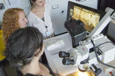 Conservators working under a microscope.