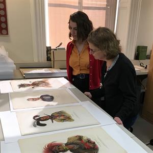 Keara Teeter and Anne Downey  examining hand-colored prints (courtesey of the American Philosophical Society)