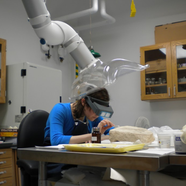 Carrie Roberts examines a limestone stela at the Kelsey museum of Archaeology, University of Michigan